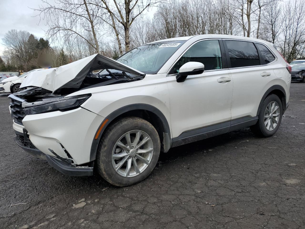 2024 Honda CR-V - Image 1