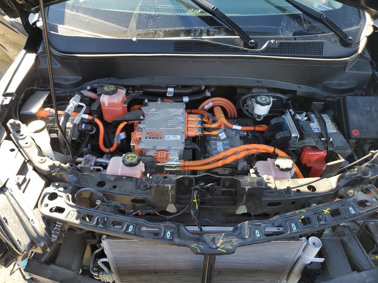 2023 Chevrolet Bolt Euv Lt VIN: 1G1FY6S01P4177235 Lot: 43372195