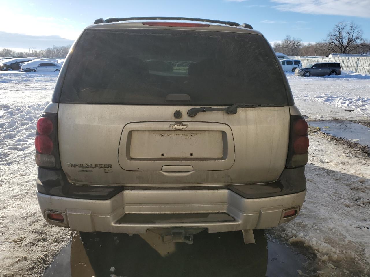 2005 Chevrolet Trailblazer Ls VIN: 1GNDT13S952136285 Lot: 45126865