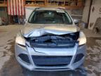 2013 Ford Escape Se for Sale in Sikeston, MO - Front End
