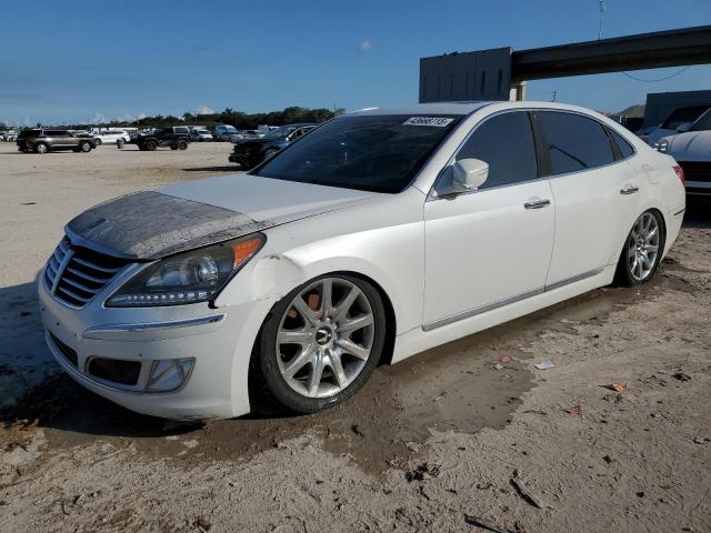 2011 Hyundai Equus Signature за продажба в West Palm Beach, FL - Front End