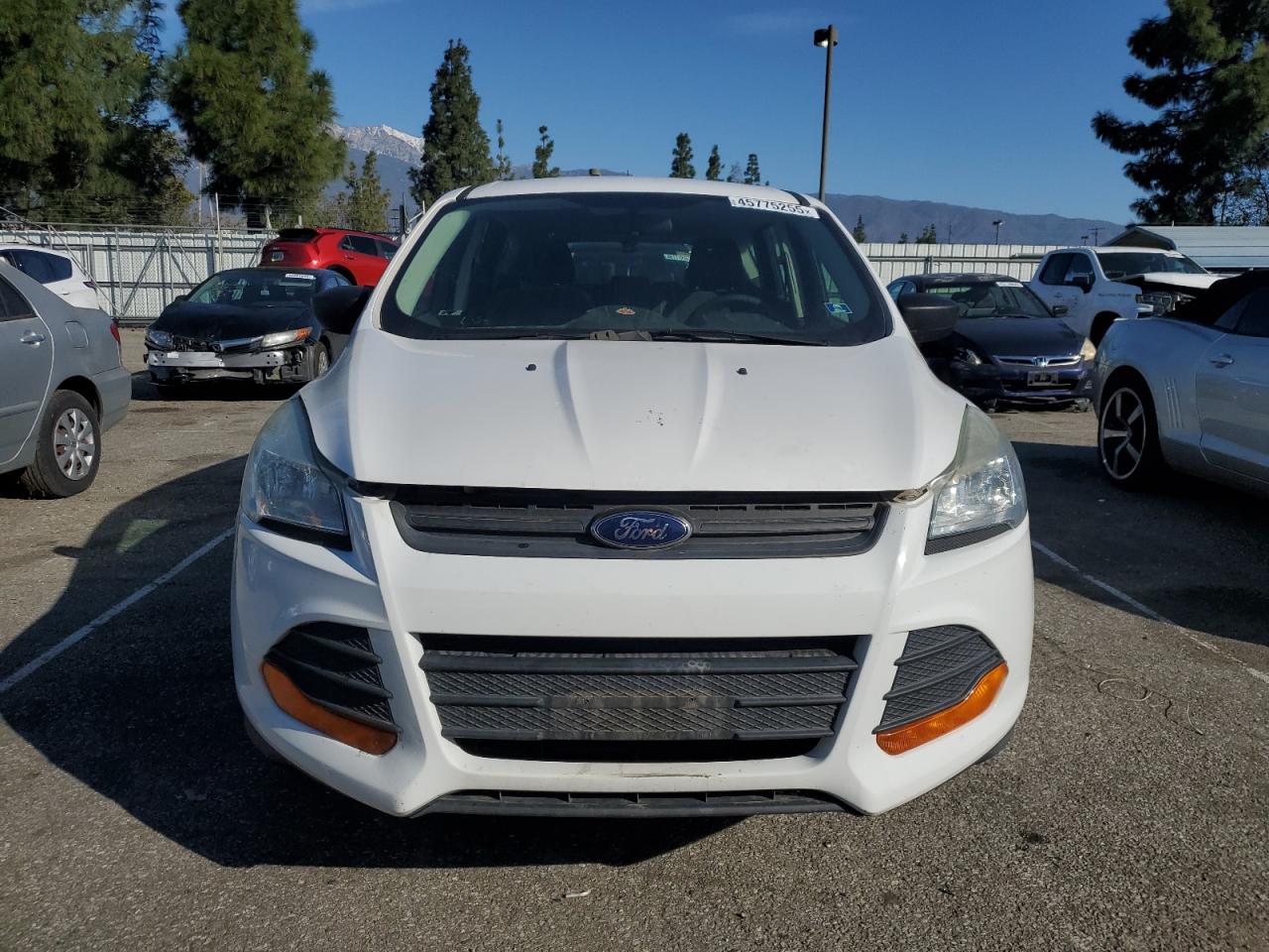 2014 Ford Escape - Image 5