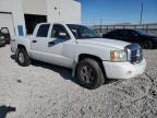 2006 Dodge Dakota Quad Slt   de vânzare în Reno, NV - Front End