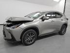2024 Lexus Nx 350H Base продається в Wilmer, TX - Front End