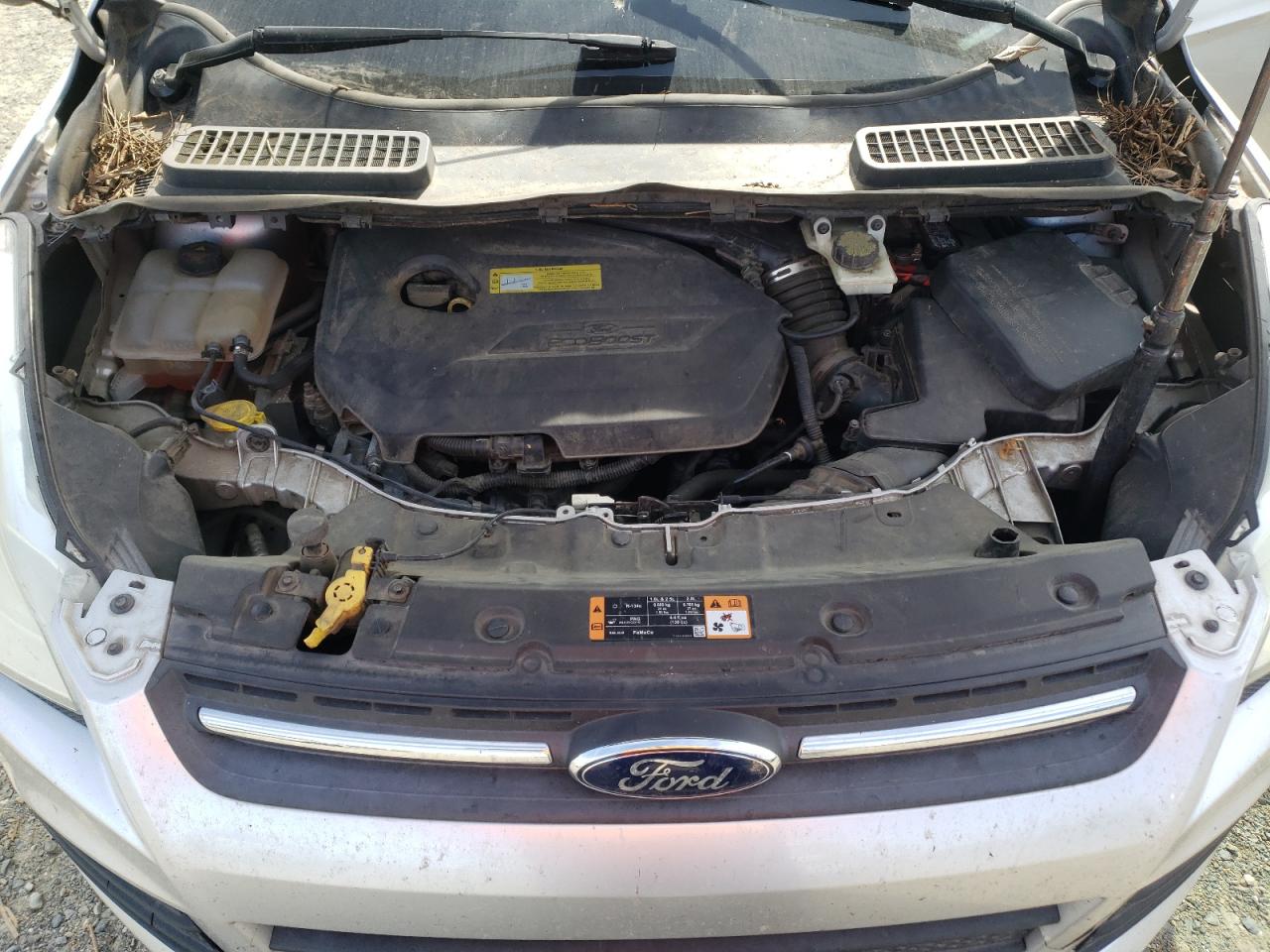 2014 Ford Escape - Image 12