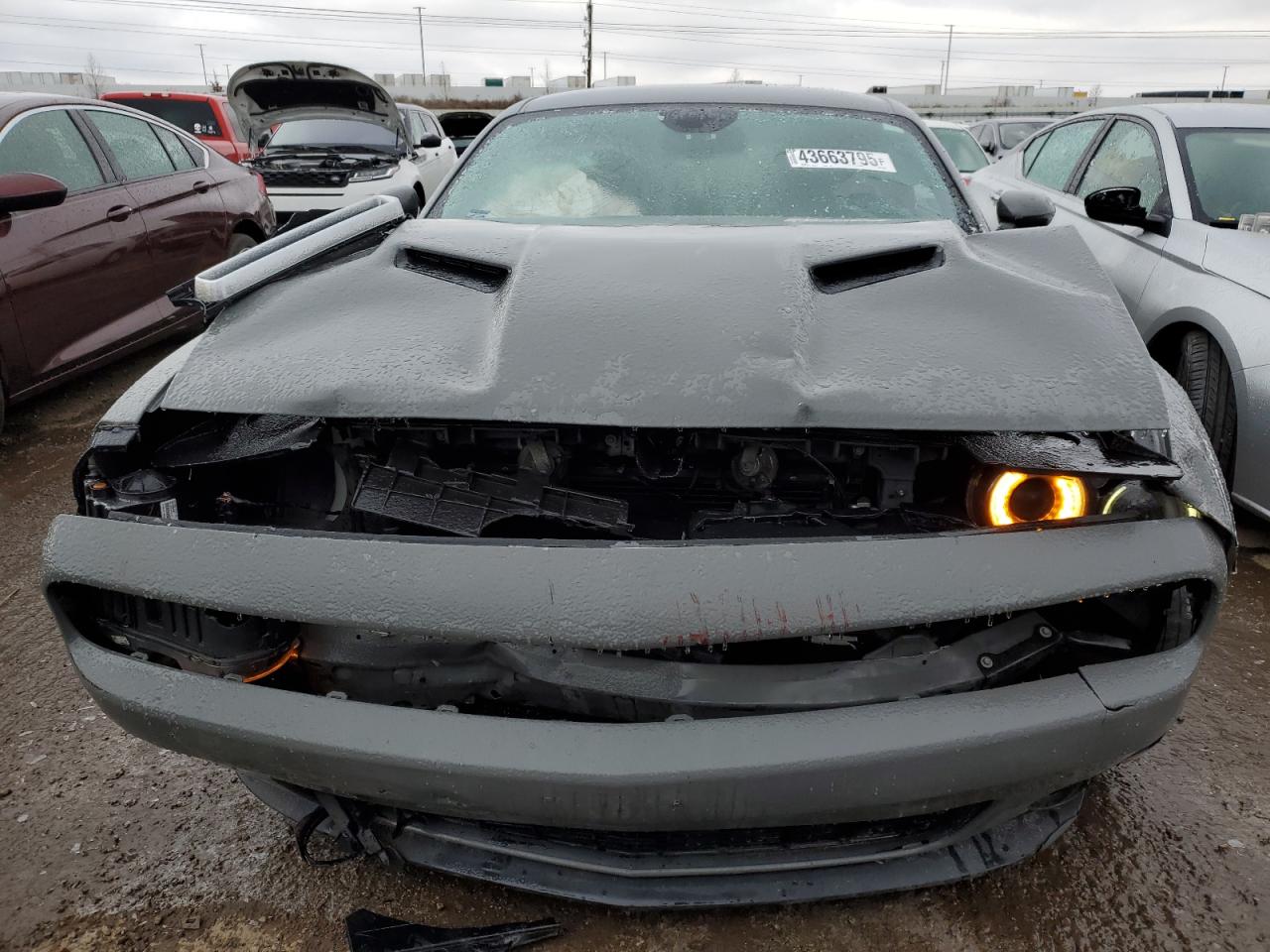 2019 Dodge Challenger - Image 5