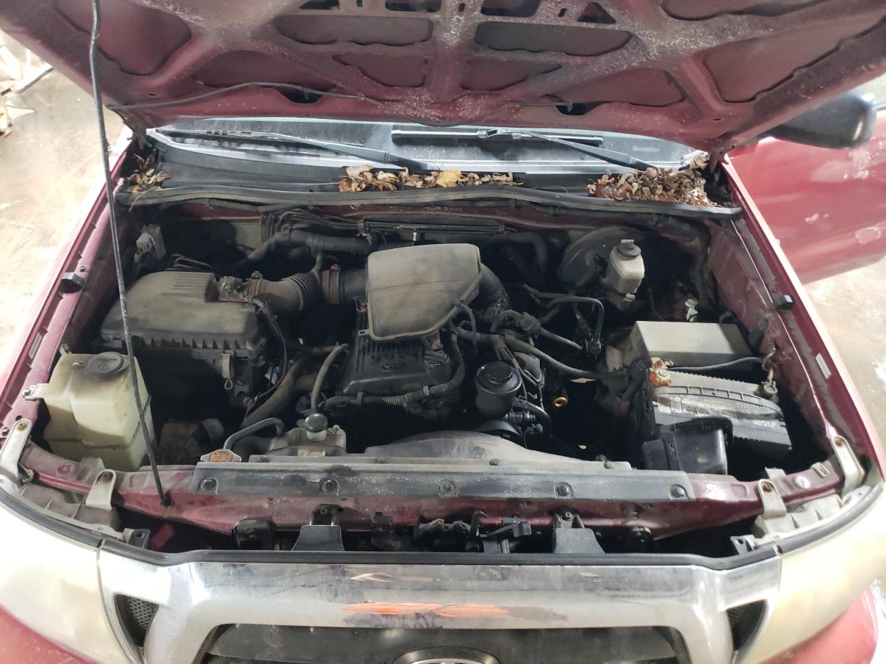 2006 Toyota Tacoma - Image 11