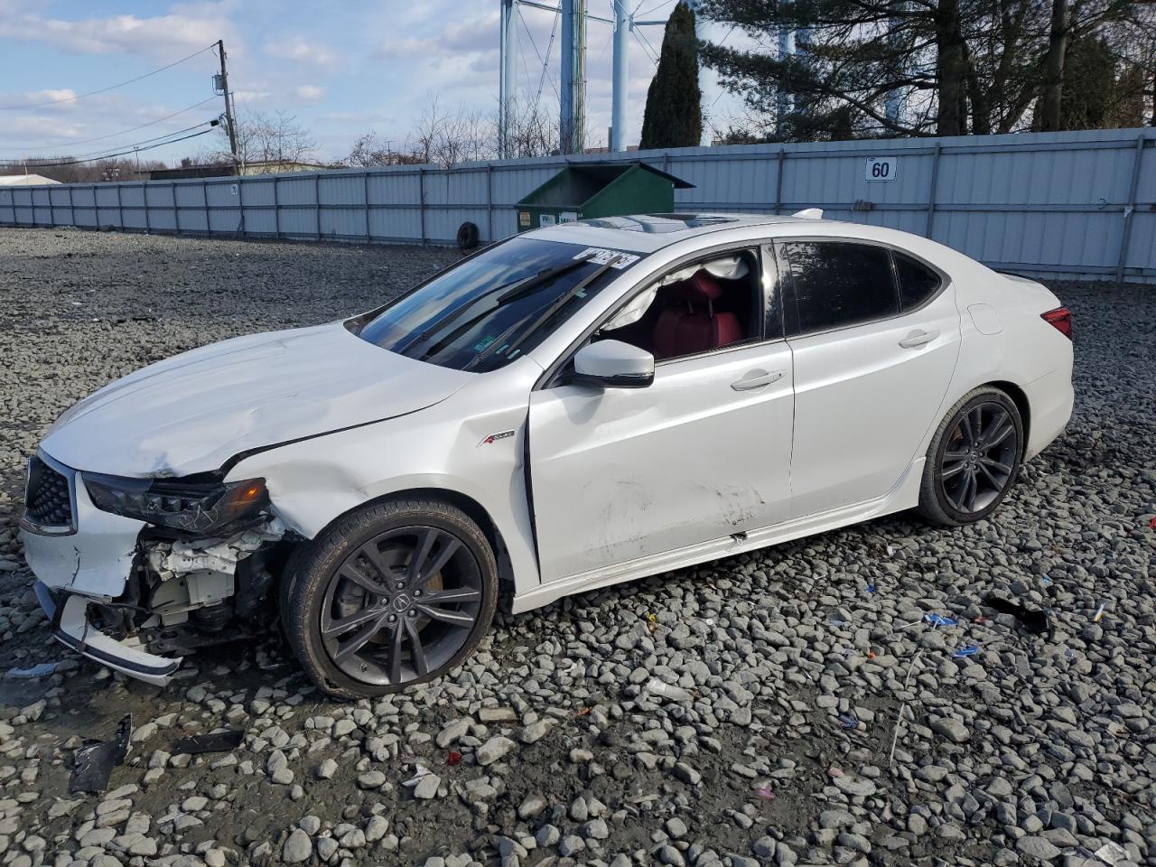 2019 Acura TLX - Image 1