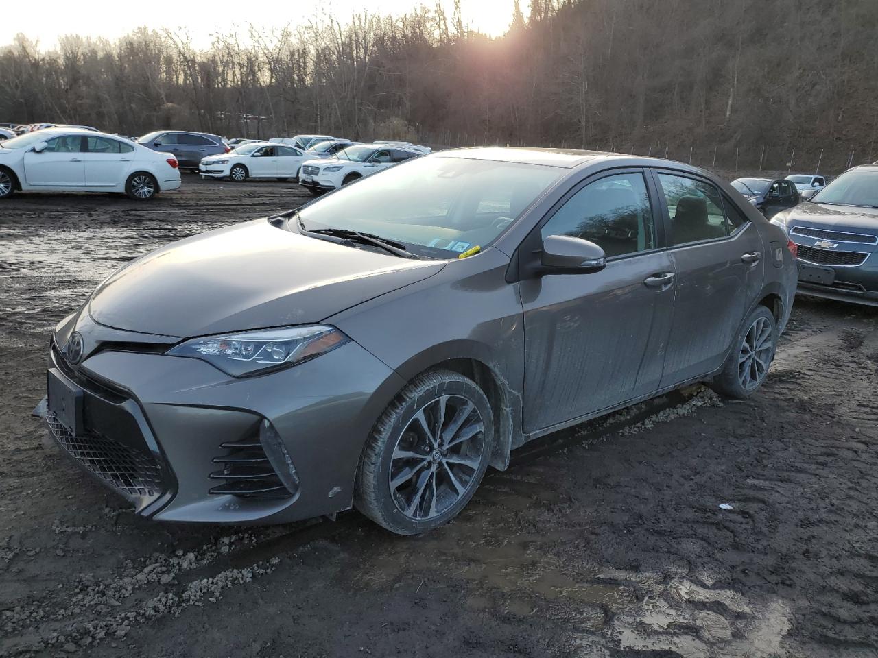 2017 Toyota Corolla - Image 1