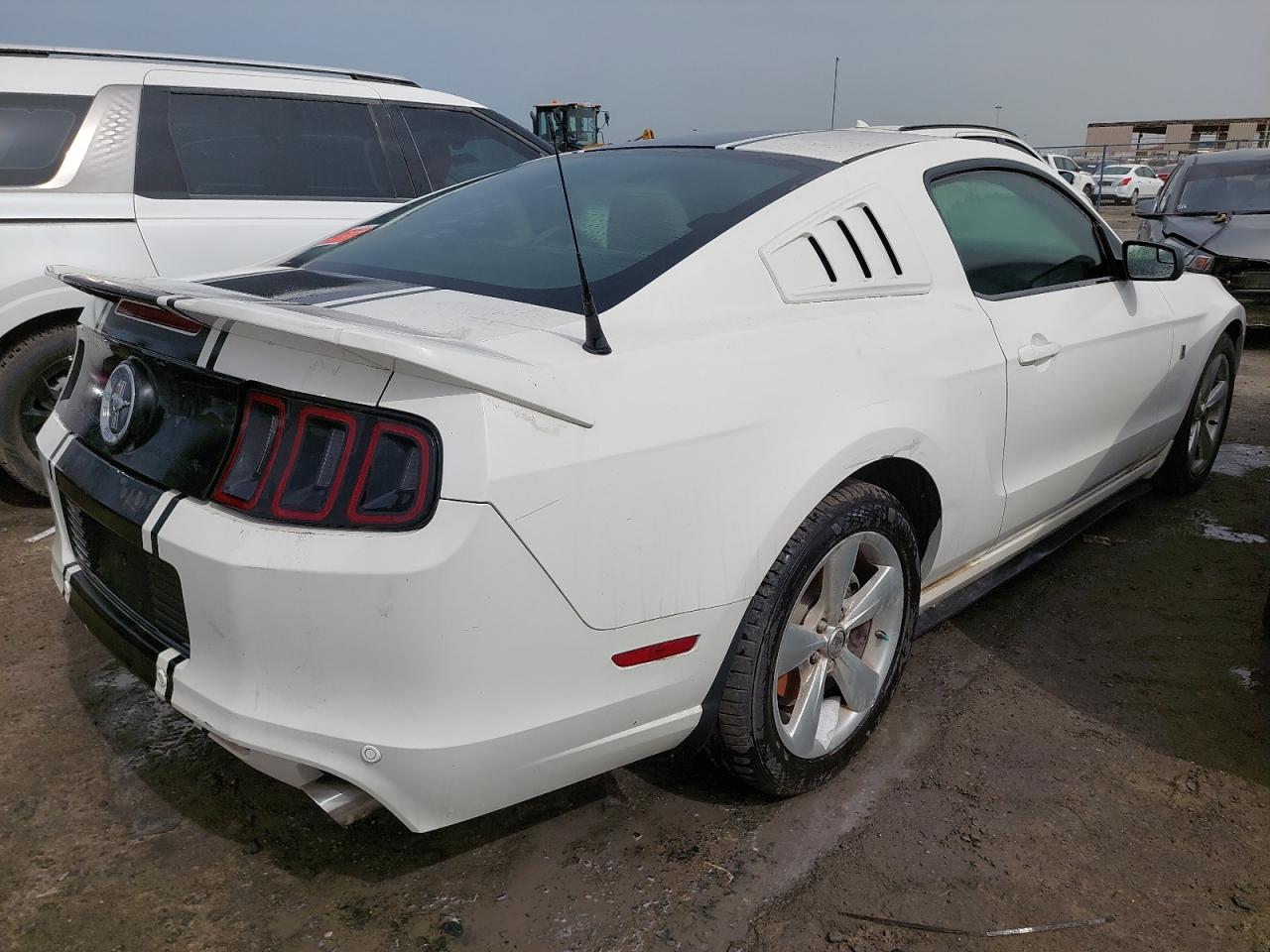1ZVBP8AM1D5237641 - 2013 FORD MUSTANG - #45436755