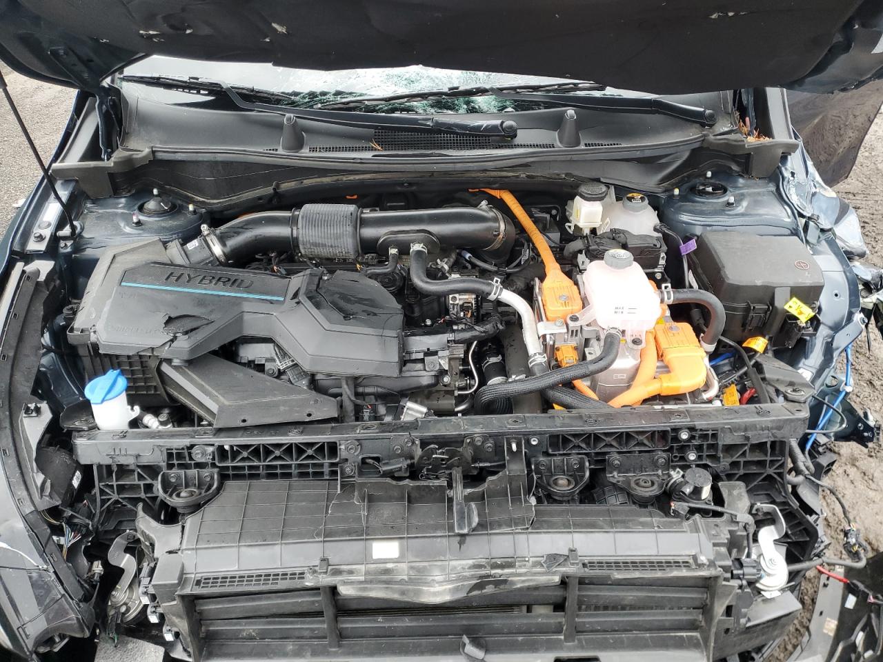 2024 Kia Sportage - Image 12