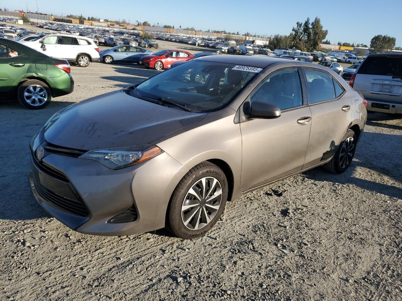 2019 Toyota Corolla - Image 1