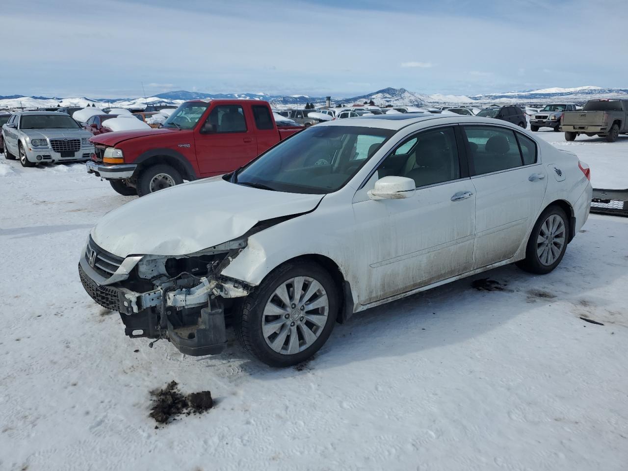 2013 Honda Accord Exl იყიდება Helena-ში, MT - Front End