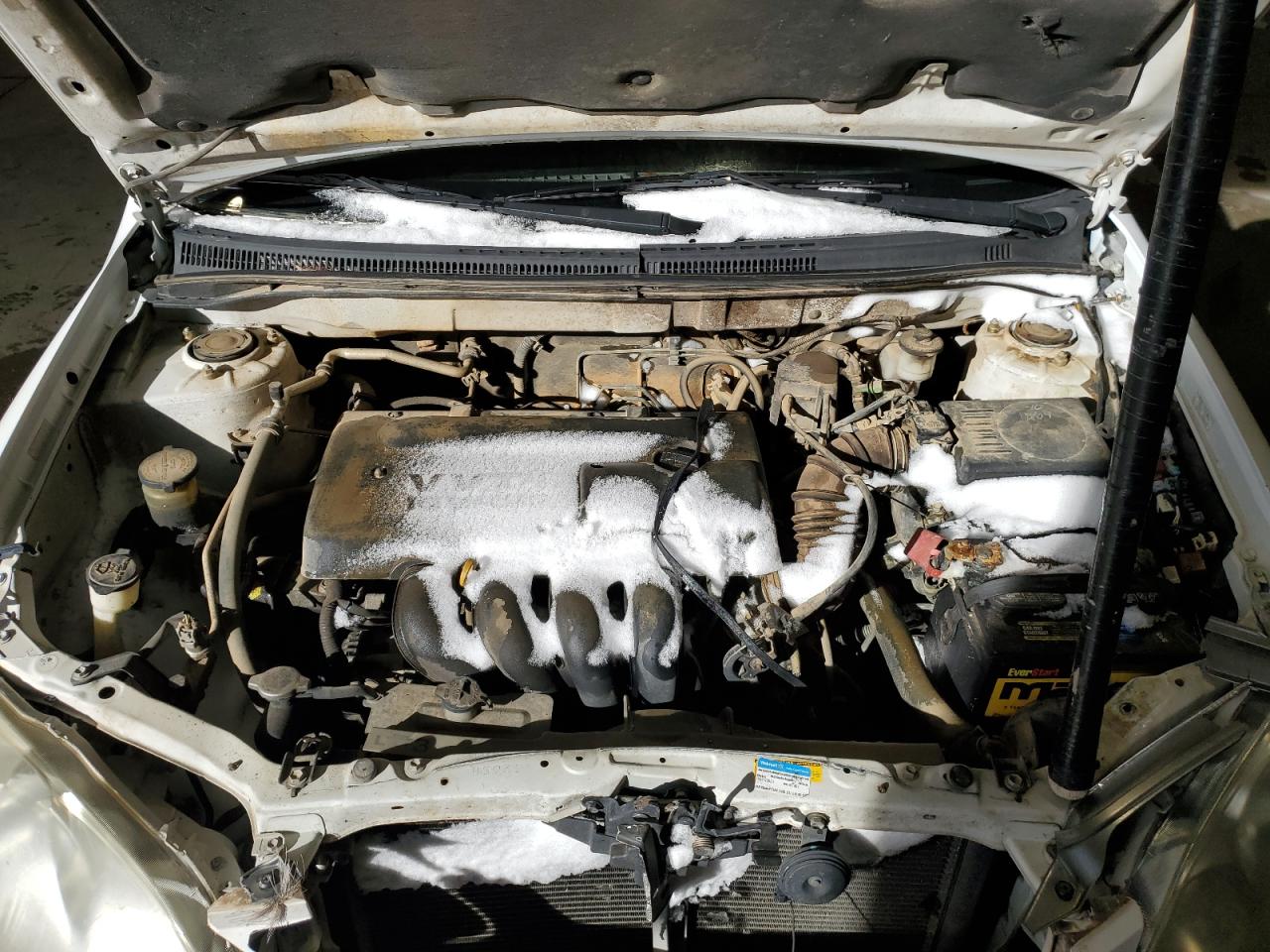 2003 Toyota Corolla - Image 12