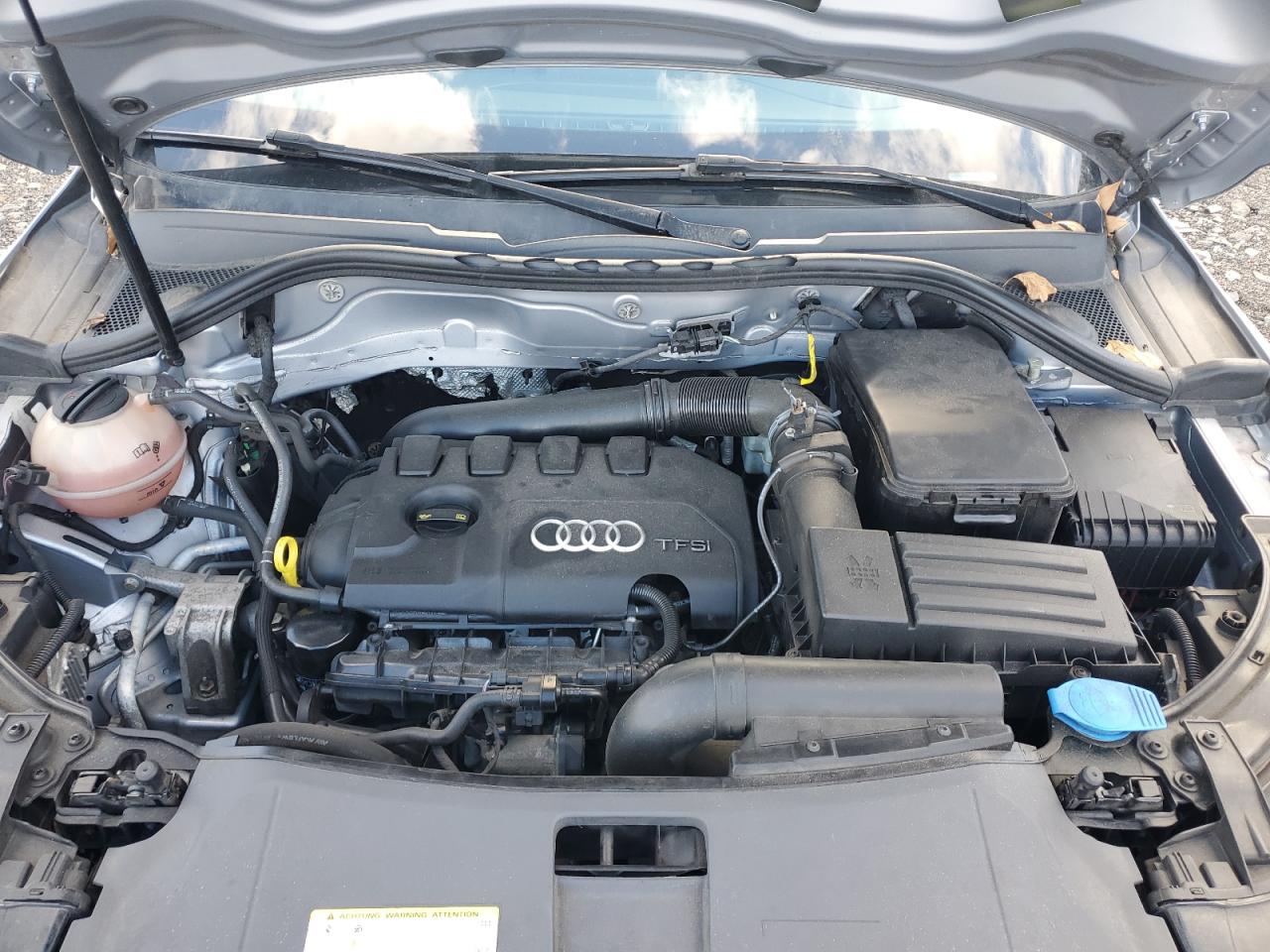 2016 Audi Q3 Premium Plus VIN: WA1EFCFS5GR006567 Lot: 43519905