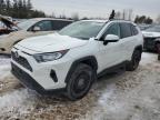 2019 TOYOTA RAV4 LIMITED for sale at Copart ON - TORONTO