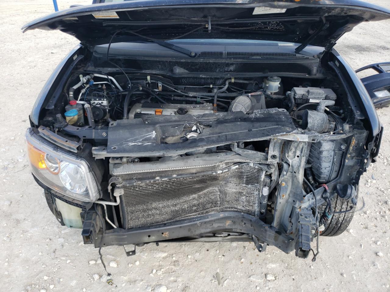 2008 Honda Element - Image 12