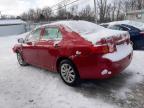 2009 Toyota Corolla Base იყიდება Walton-ში, KY - Front End