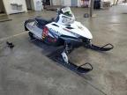2009 POLA DRAGON for sale at Copart MN - MINNEAPOLIS NORTH