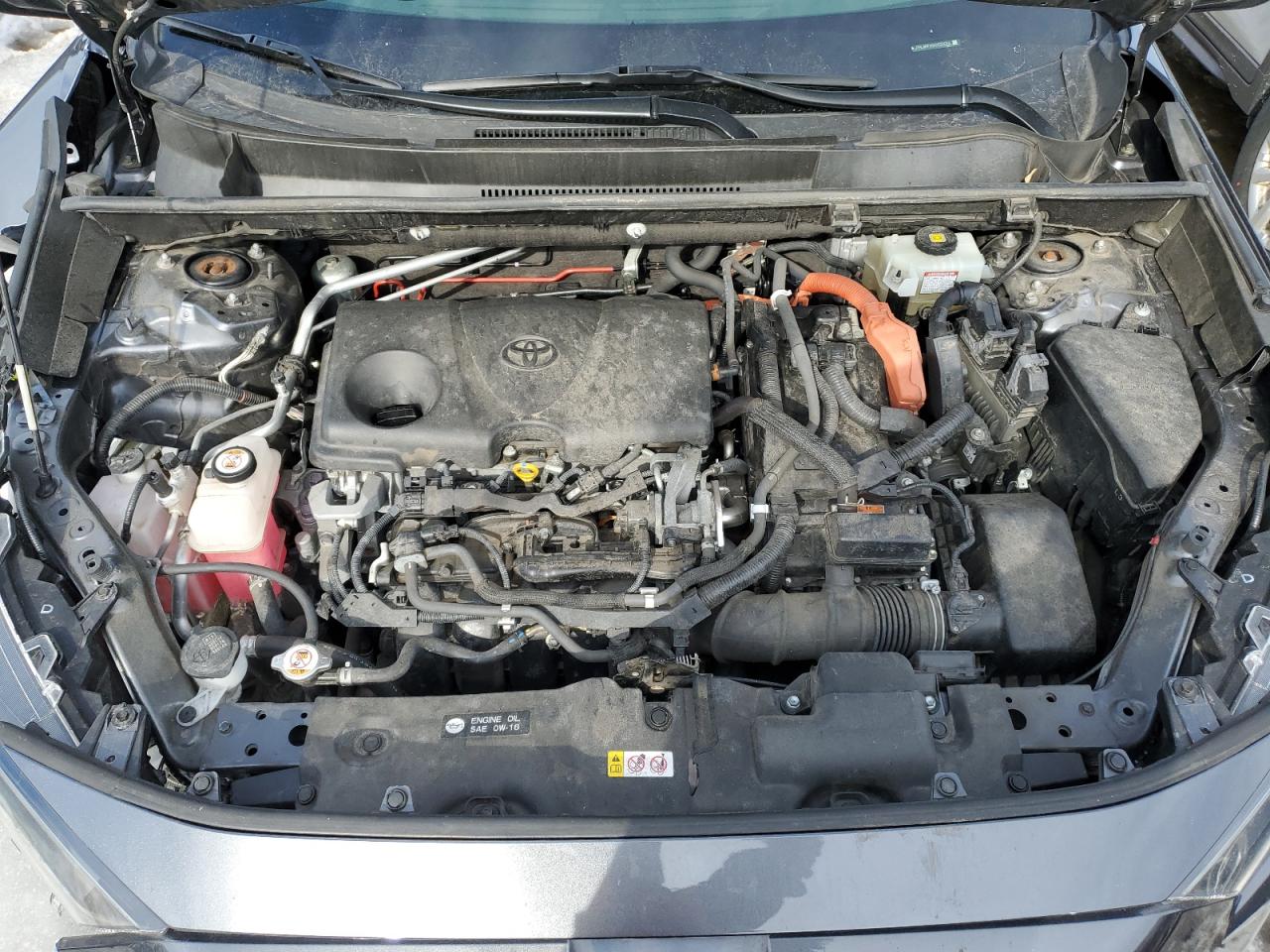 2019 Toyota RAV 4 - Image 12