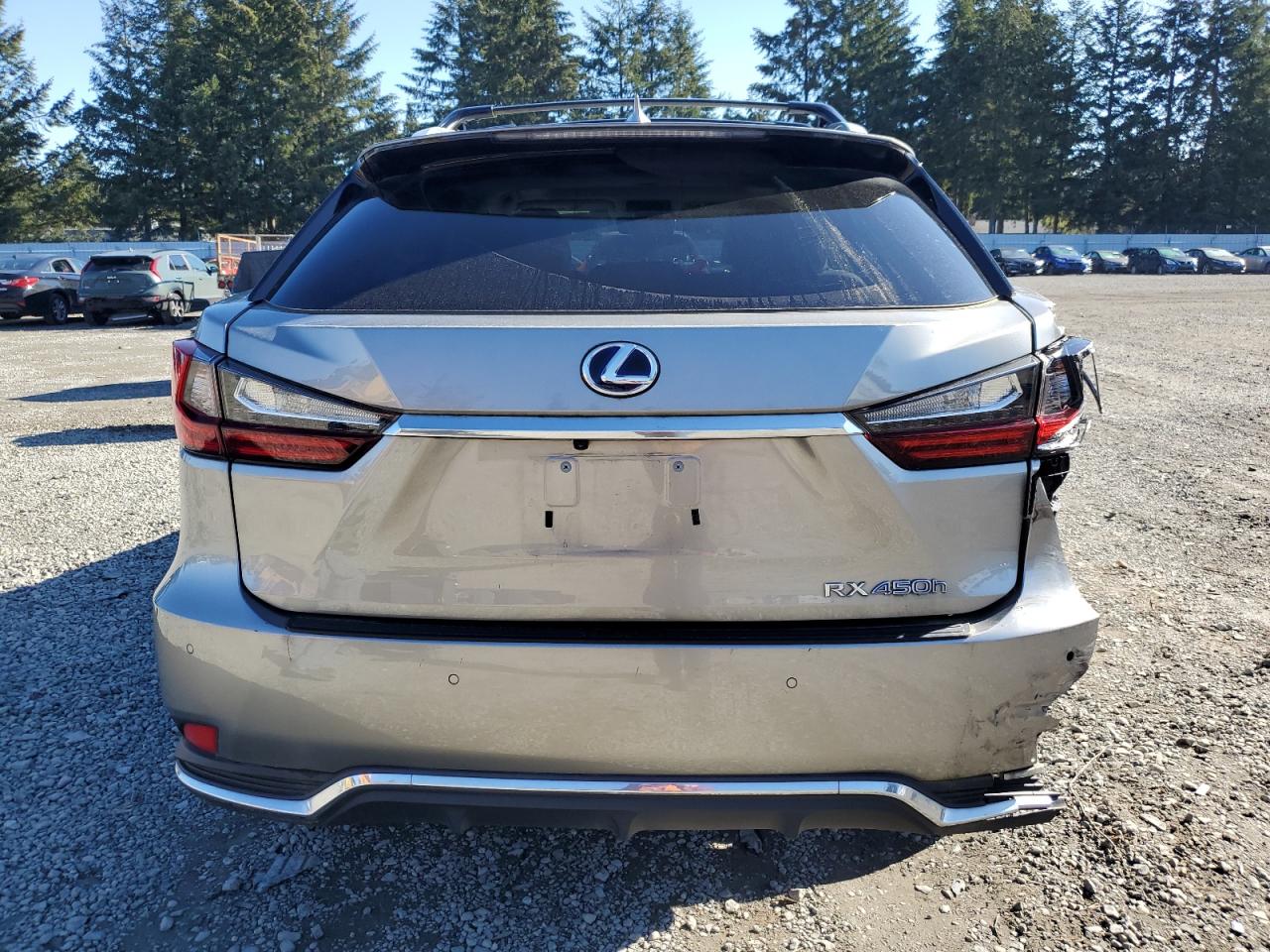 2021 Lexus RX - Image 6