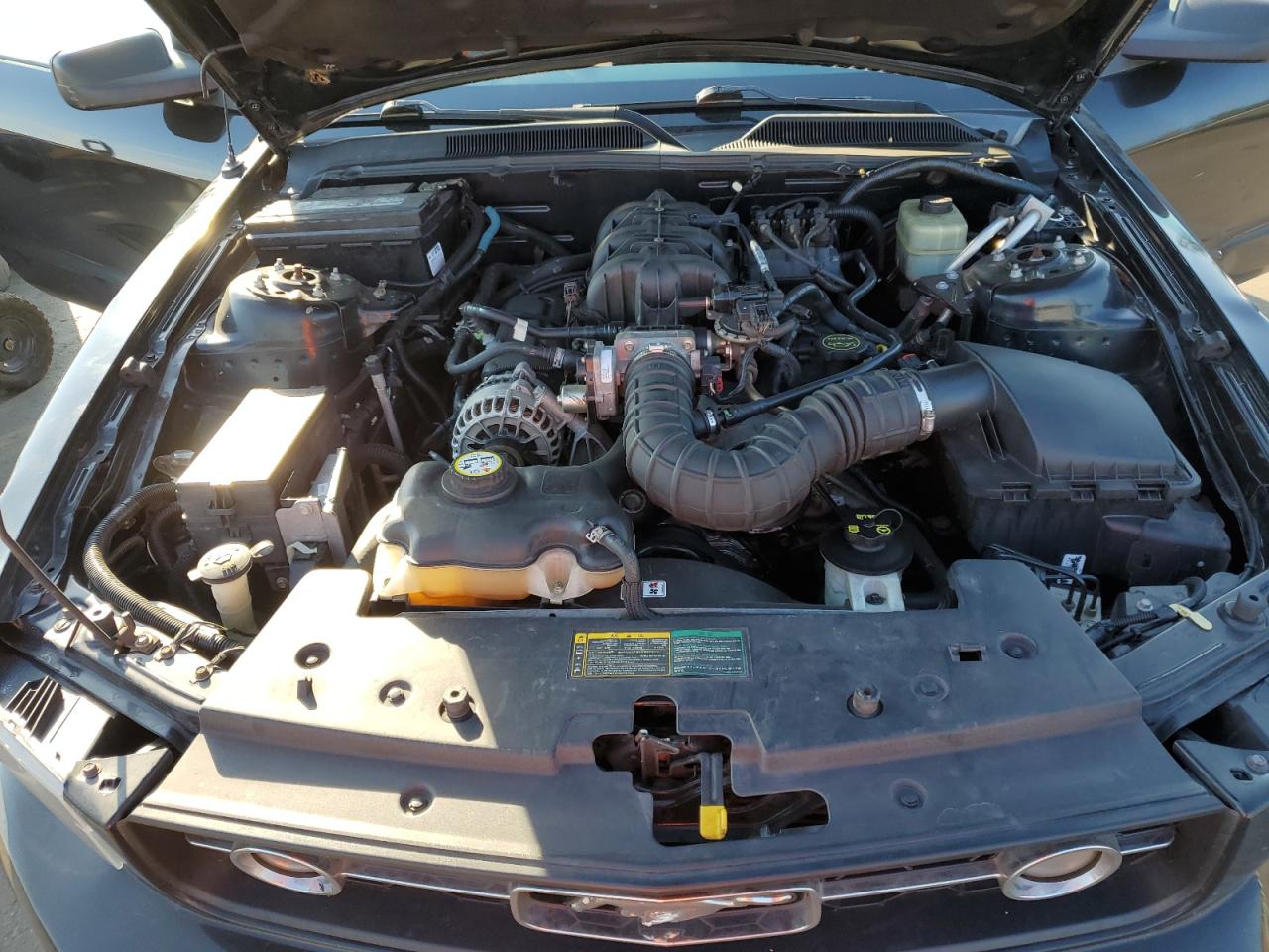 2006 Ford Mustang VIN: 1ZVHT80N965139394 Lot: 43779745