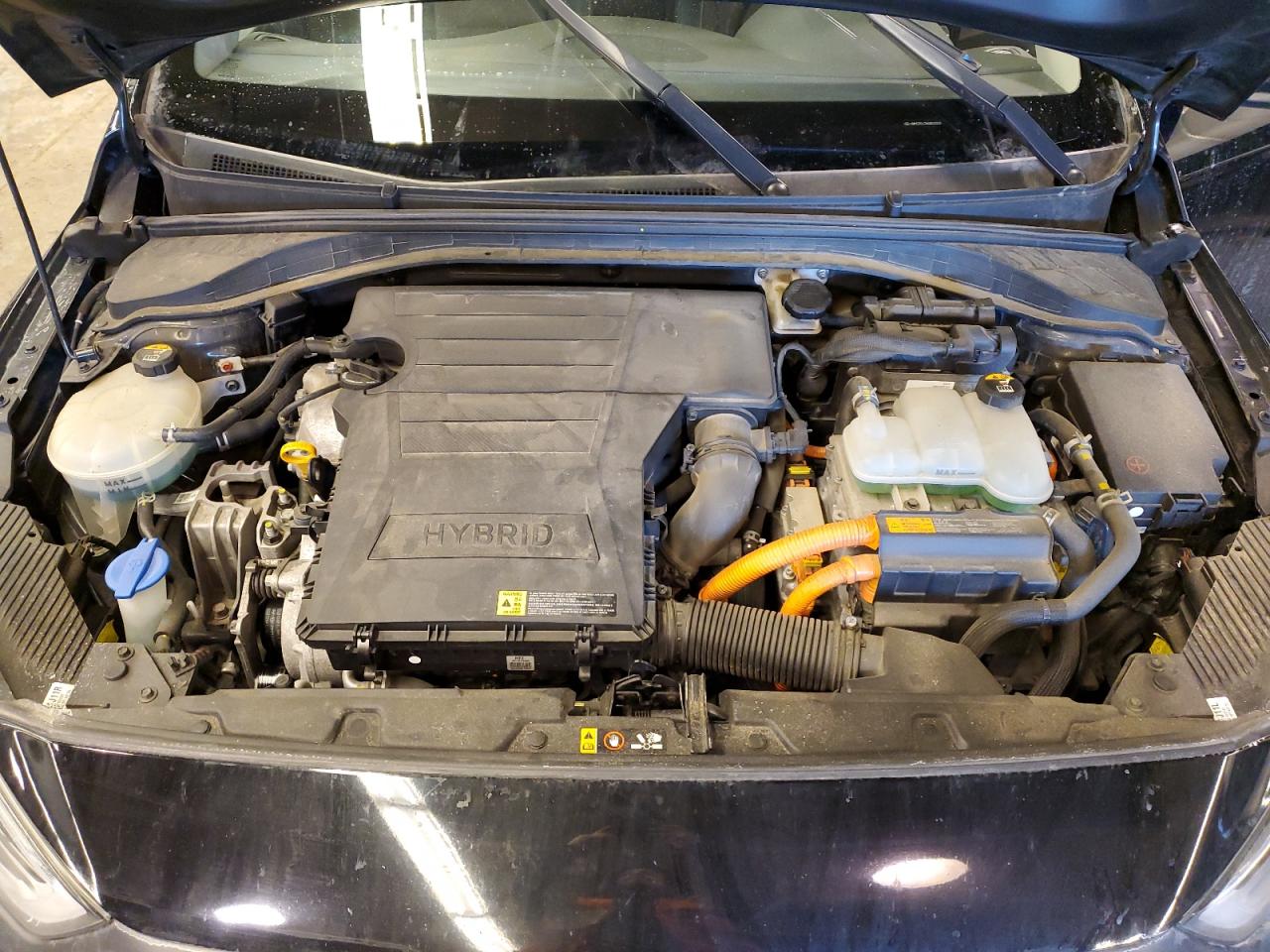 2017 Hyundai IONIQ - Image 13