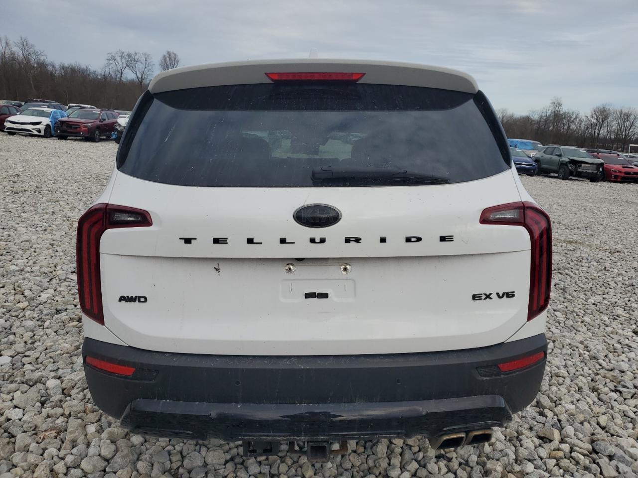2021 Kia Telluride - Image 6