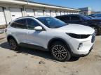 2023 Ford Escape  for Sale in Louisville, KY - Front End