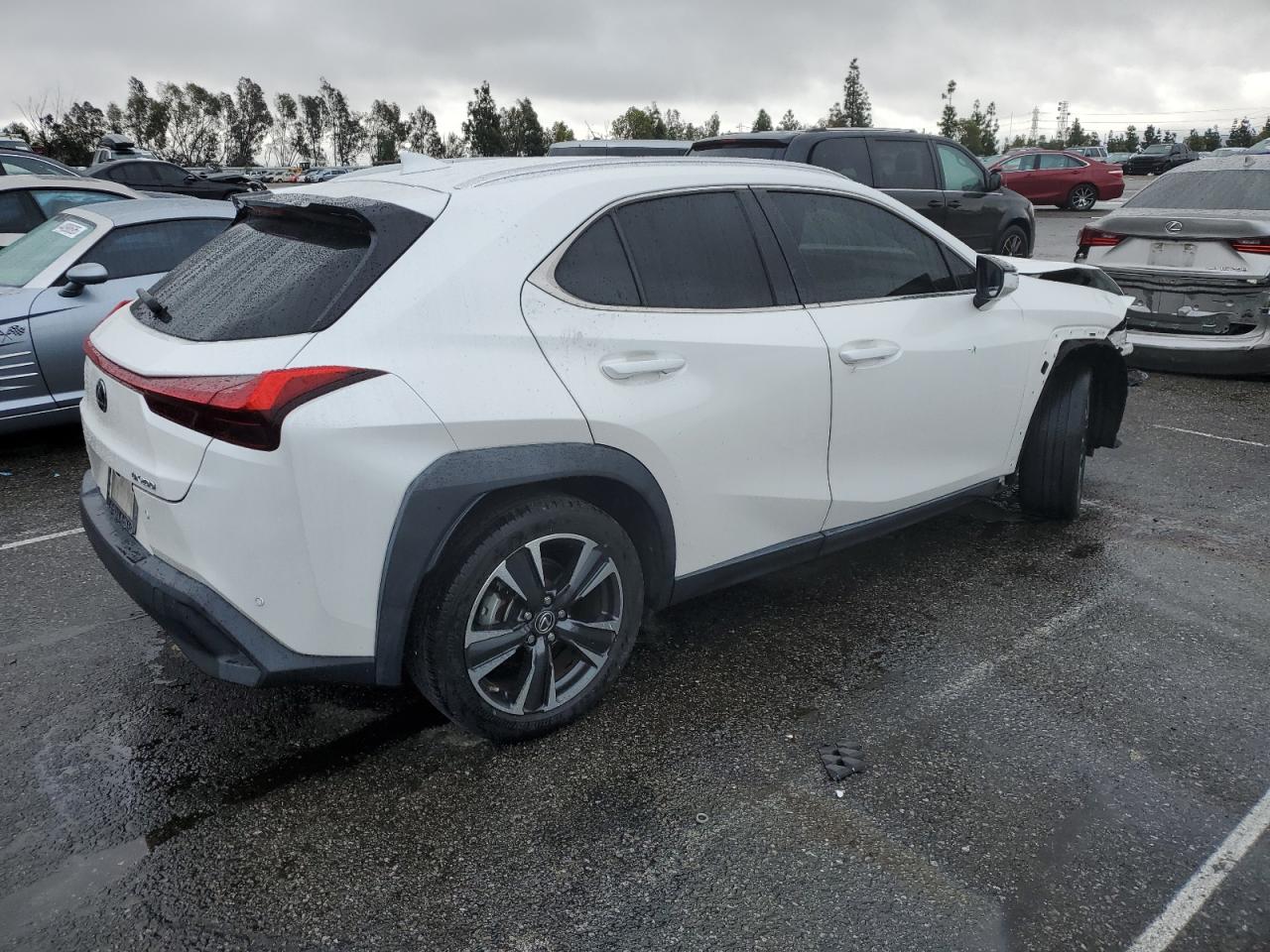 2021 Lexus UX - Image 3
