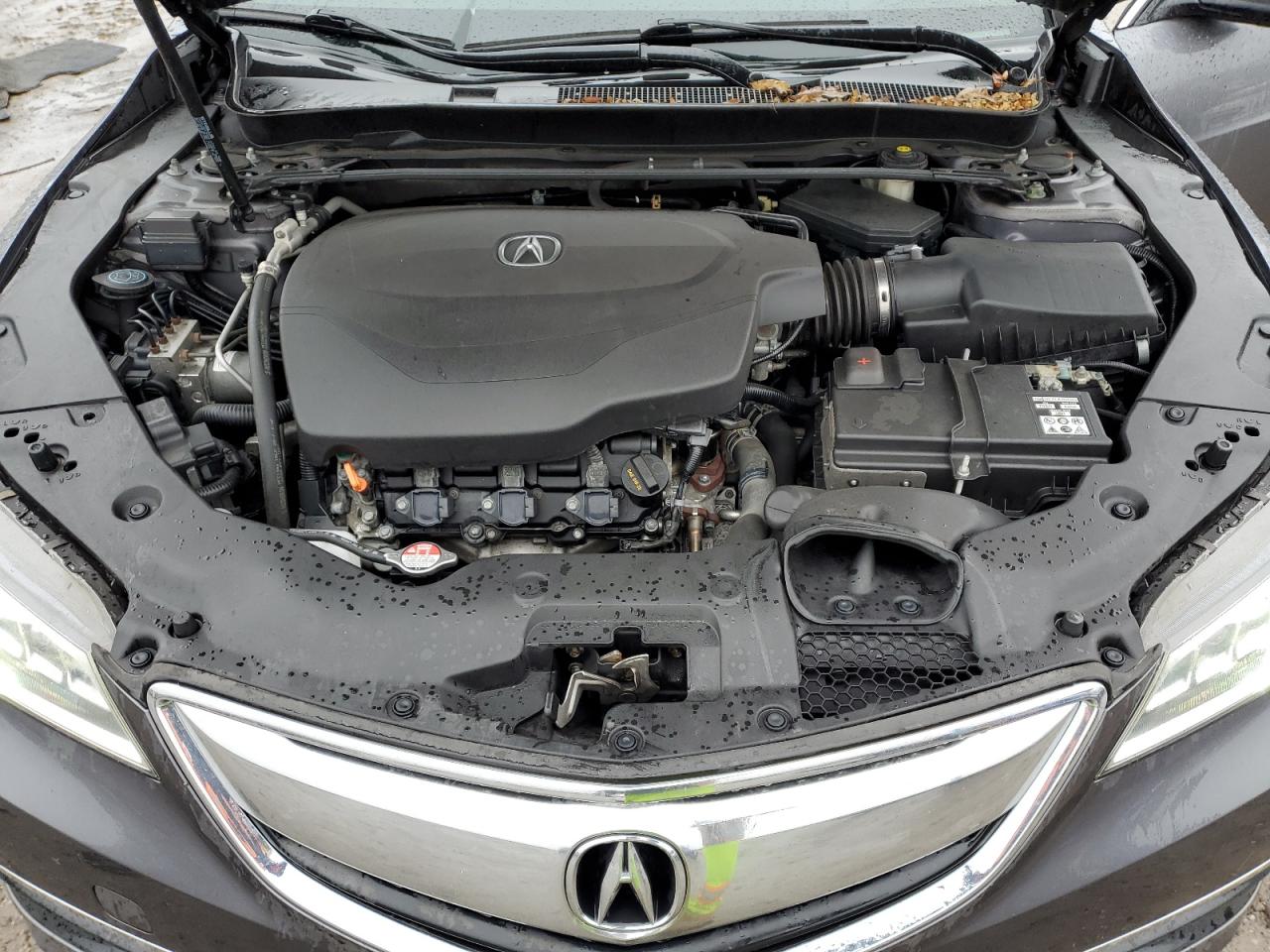 2017 Acura TLX - Image 11