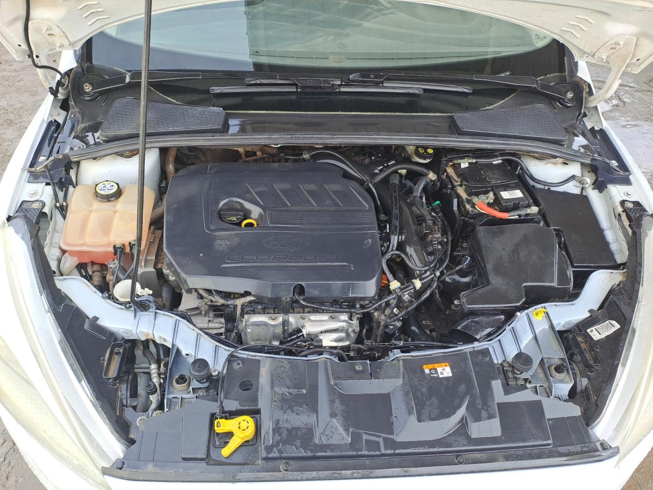 WF0BC2LB1GLA07380 - 2016 Ford Focus Se - #46759145