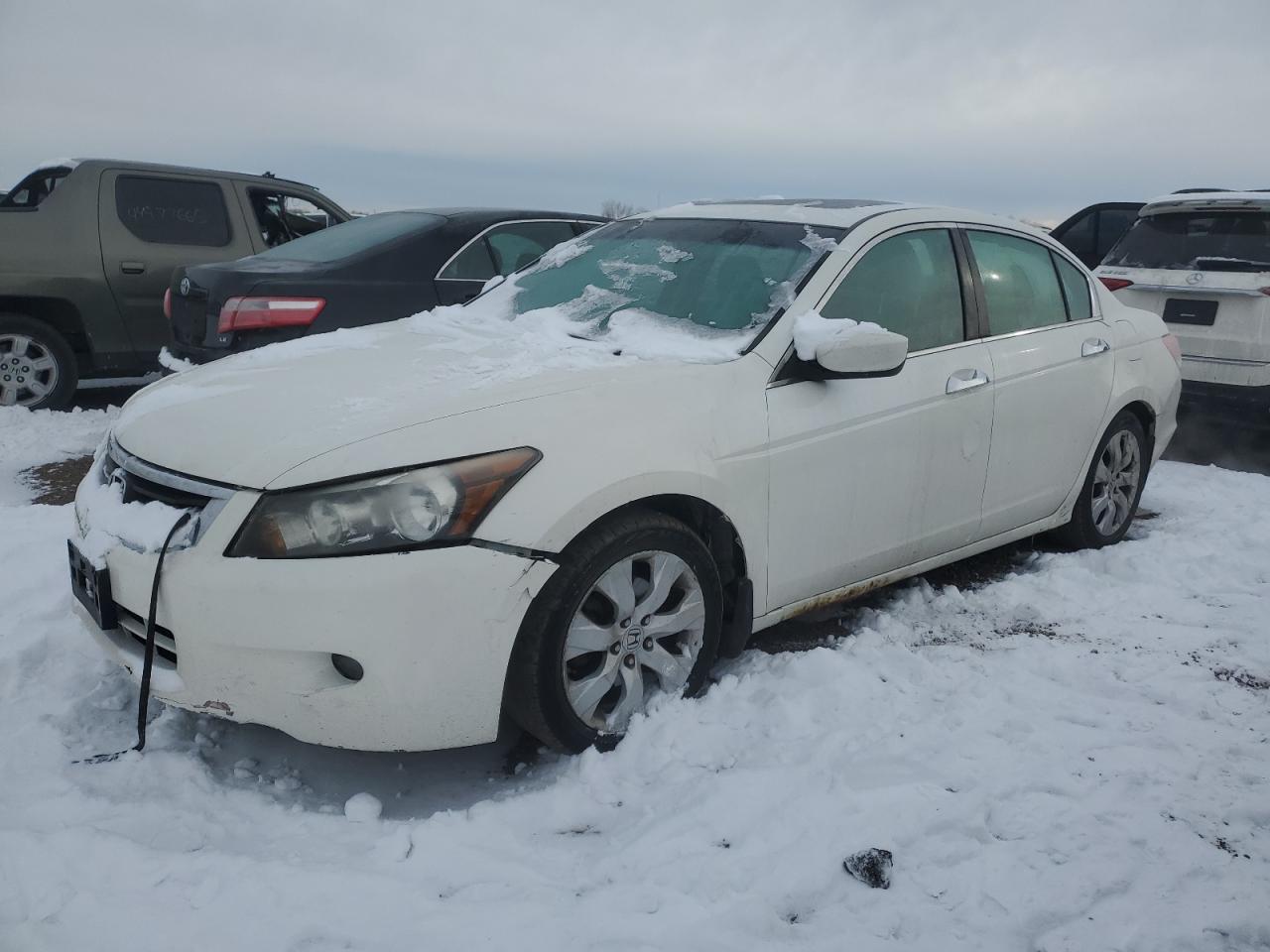 2010 Honda Accord - Image 1