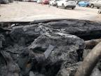 2009 Honda Accord Lx იყიდება Houston-ში, TX - Burn