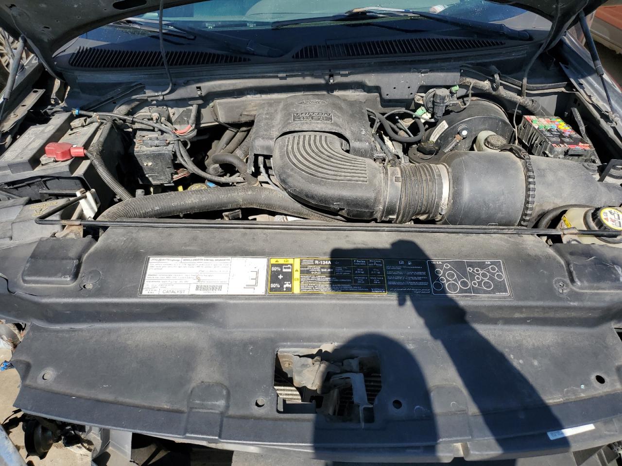 2003 Ford F150 Supercrew VIN: 1FTRW0613KD65795 Lot: 46243105