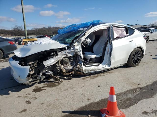  TESLA MODEL Y 2023 Белый