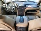 2013 Cadillac Escalade  продається в Albuquerque, NM - Front End