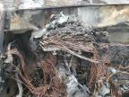 1999 Dodge Dakota  продається в Albuquerque, NM - Burn