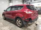 2013 Ford Escape Se for Sale in Bridgeton, MO - Rear End