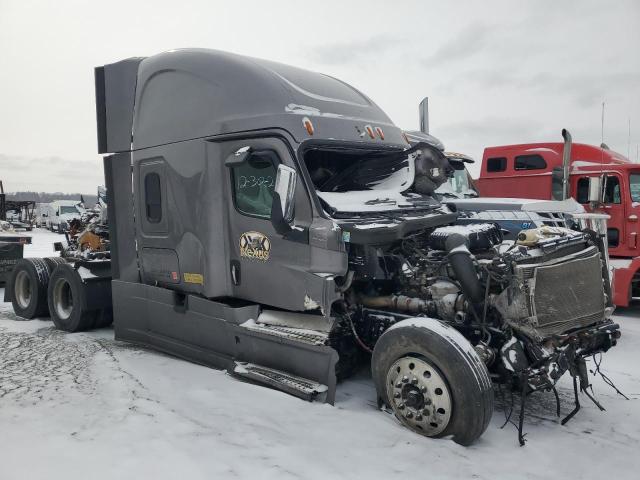 2019 Freightliner Cascadia 126 