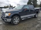 2010 Ford F150 Supercrew for Sale in Graham, WA - All Over