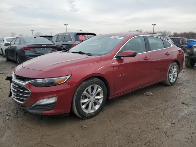  CHEVROLET MALIBU 2019 Burgundy