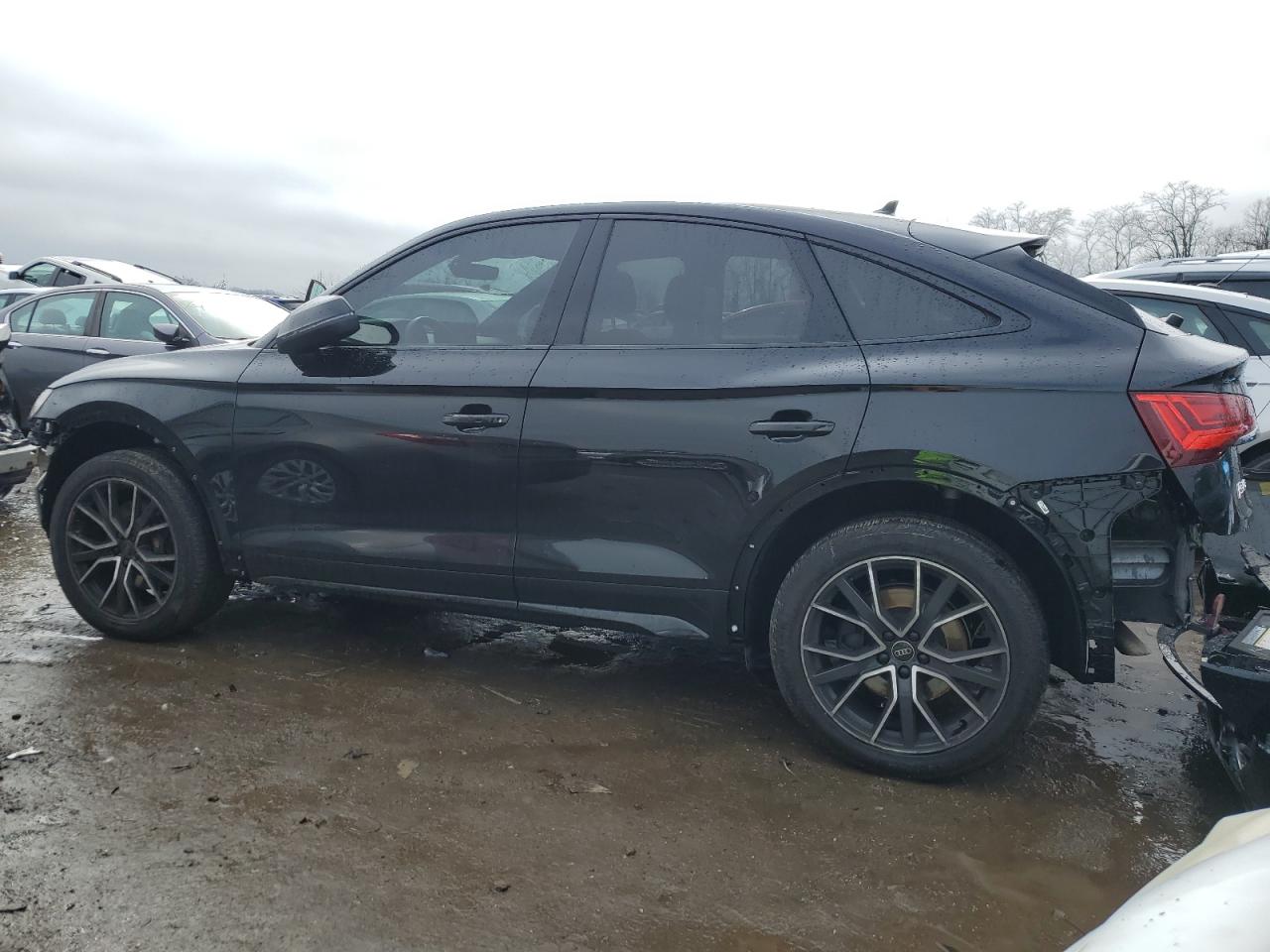 2023 Audi SQ5 Sportback - Image 2
