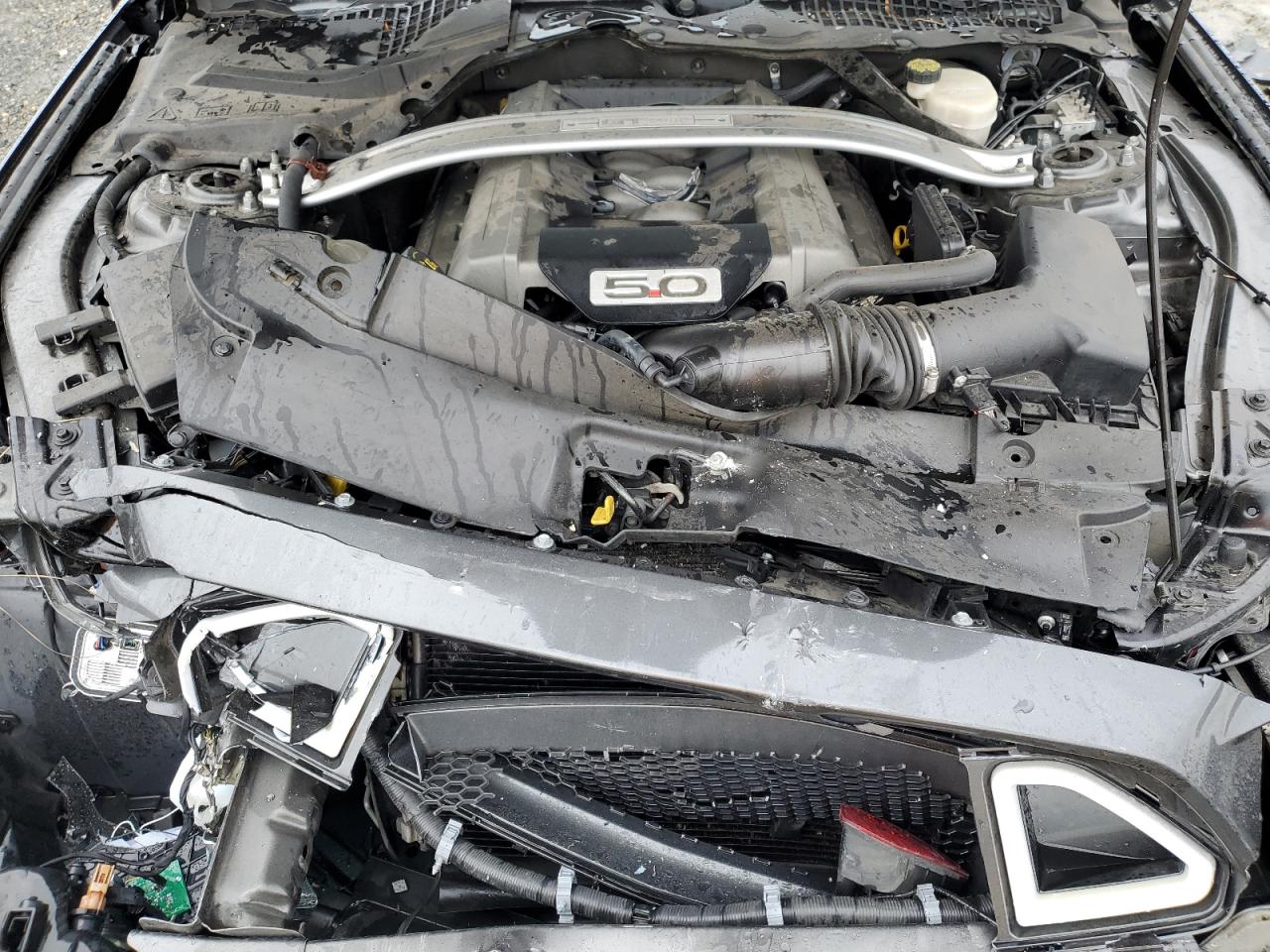 2016 Ford Mustang - Image 11