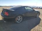 1999 Ford Mustang  на продаже в Adelanto, CA - Minor Dent/Scratches