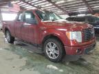 1FTFX1EF4EK****** Salvage and Wrecked 2014 Ford F-150 in Connecticut State