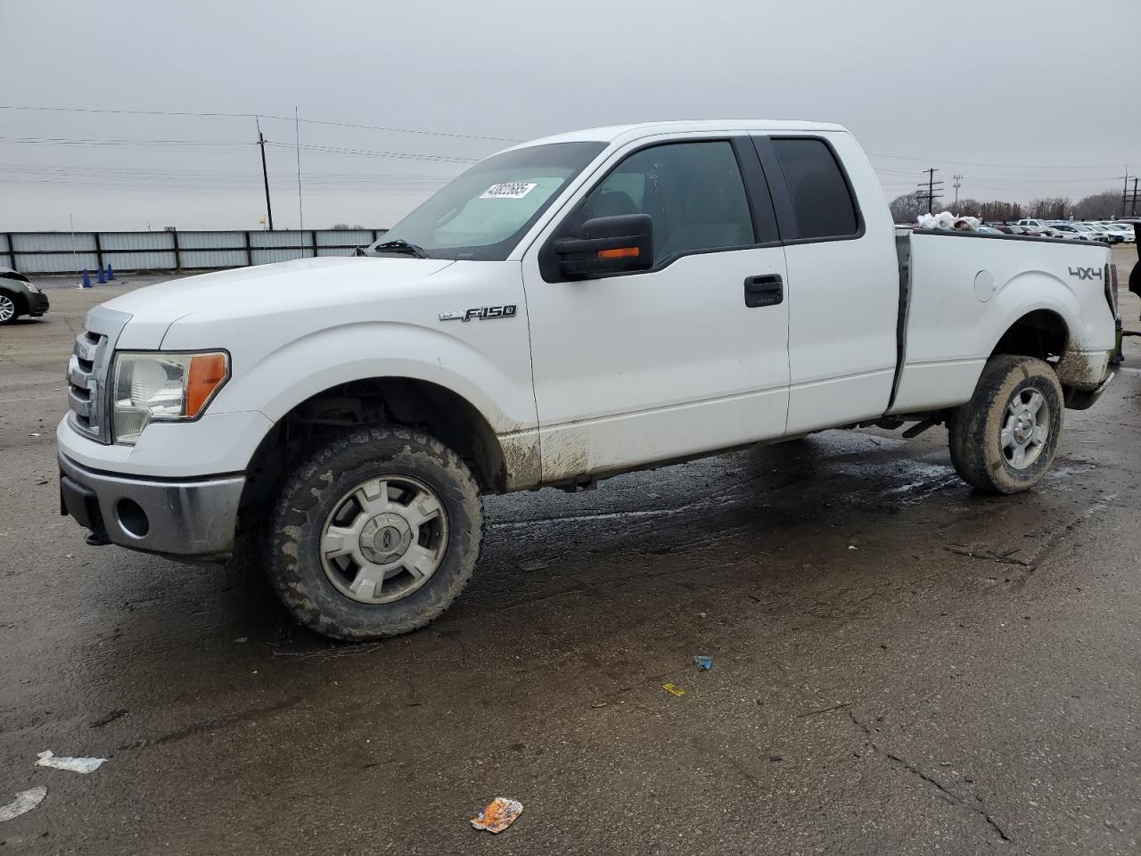 2010 Ford F-150 - Image 1