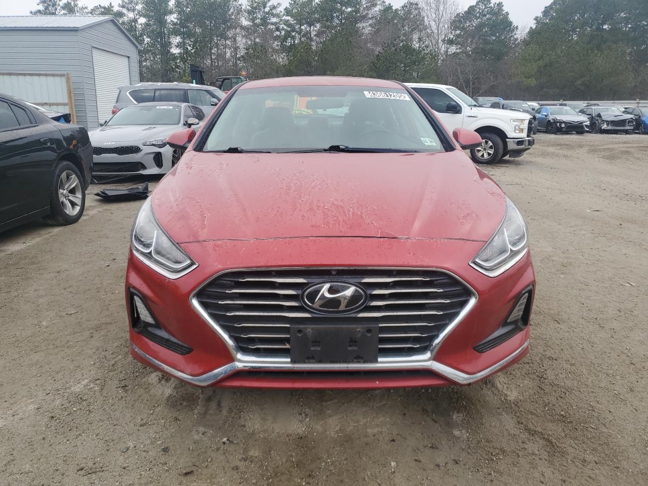 2019 Hyundai Sonata - Image 5