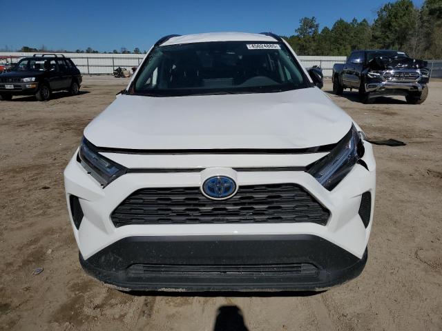  TOYOTA RAV4 2024 White