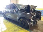 2024 Kia Telluride Sx X-Pro na sprzedaż w Indianapolis, IN - All Over